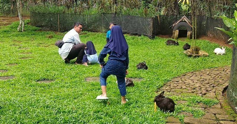 Instagram.com/tamankelincitrawas